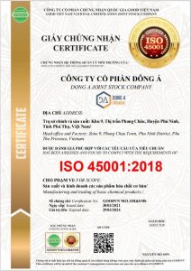 Mẫu giấy chứng nhận ISO 45001 của G-GLOBAL