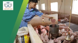 Chứng nhận hợp quy nguyên liệu thức ăn thuỷ sản – Chăn nuôi