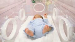 Quy trình kiểm định lồng ấp trẻ sơ sinh theo Quyết định 4395/QĐ-BYT
