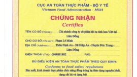 Giấy chứng nhận vệ sinh an toàn thực phẩm là gì? Hồ sơ – Thủ tục Giấy chứng nhận vệ sinh an toàn thực phẩm là gì? Hồ sơ – Thủ tục