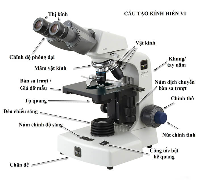 Việc hiệu chuẩn kính hiển vi mang lại nhiều lợi ích quan trọng