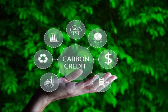 tín chỉ carbon