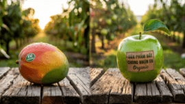 Organic EU là gì? Tiêu chuẩn chứng nhận hữu cơ hàng đầu châu Âu